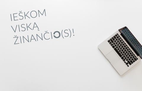 MOLO komanda ieško info–administratoriaus(-ės)!